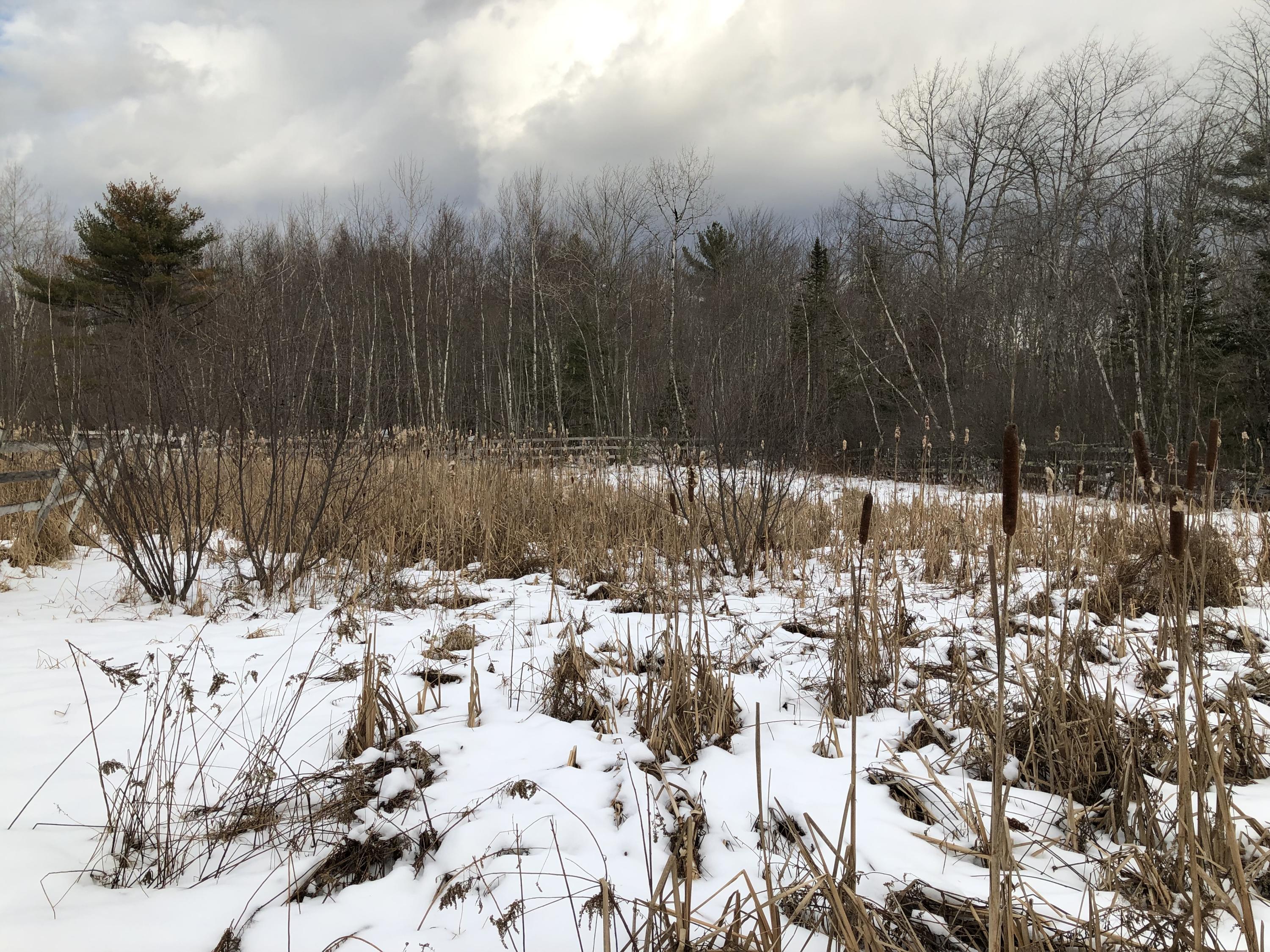 153 Portland Road Gray, ME 04039 - Photo 5 of 17 Field