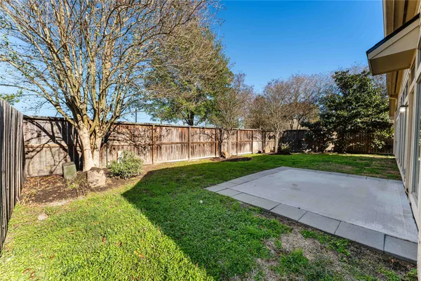 a view of a yard with plants and trees