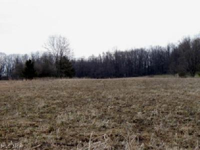 Camp Road Ravenna, OH 44266 - Photo 1 of 1 Gallery Image 1