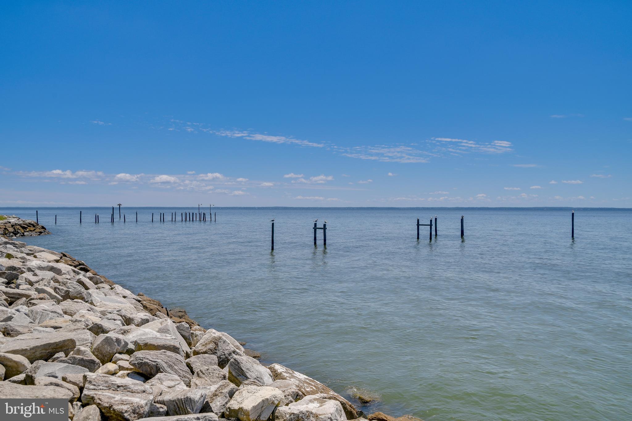 49566 Cornfield Harbor Road Scotland, MD 20687 - Photo 6 of 38