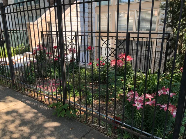 a view of a flower garden
