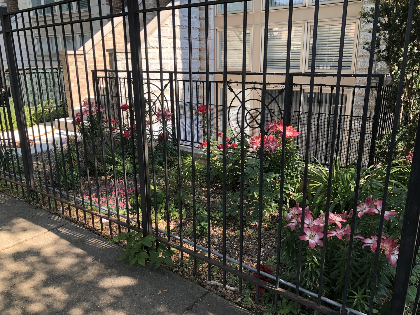 2515 West Harrison Street, Unit 1 Chicago, IL 60612 - Photo 41 of 43 a view of a flower garden