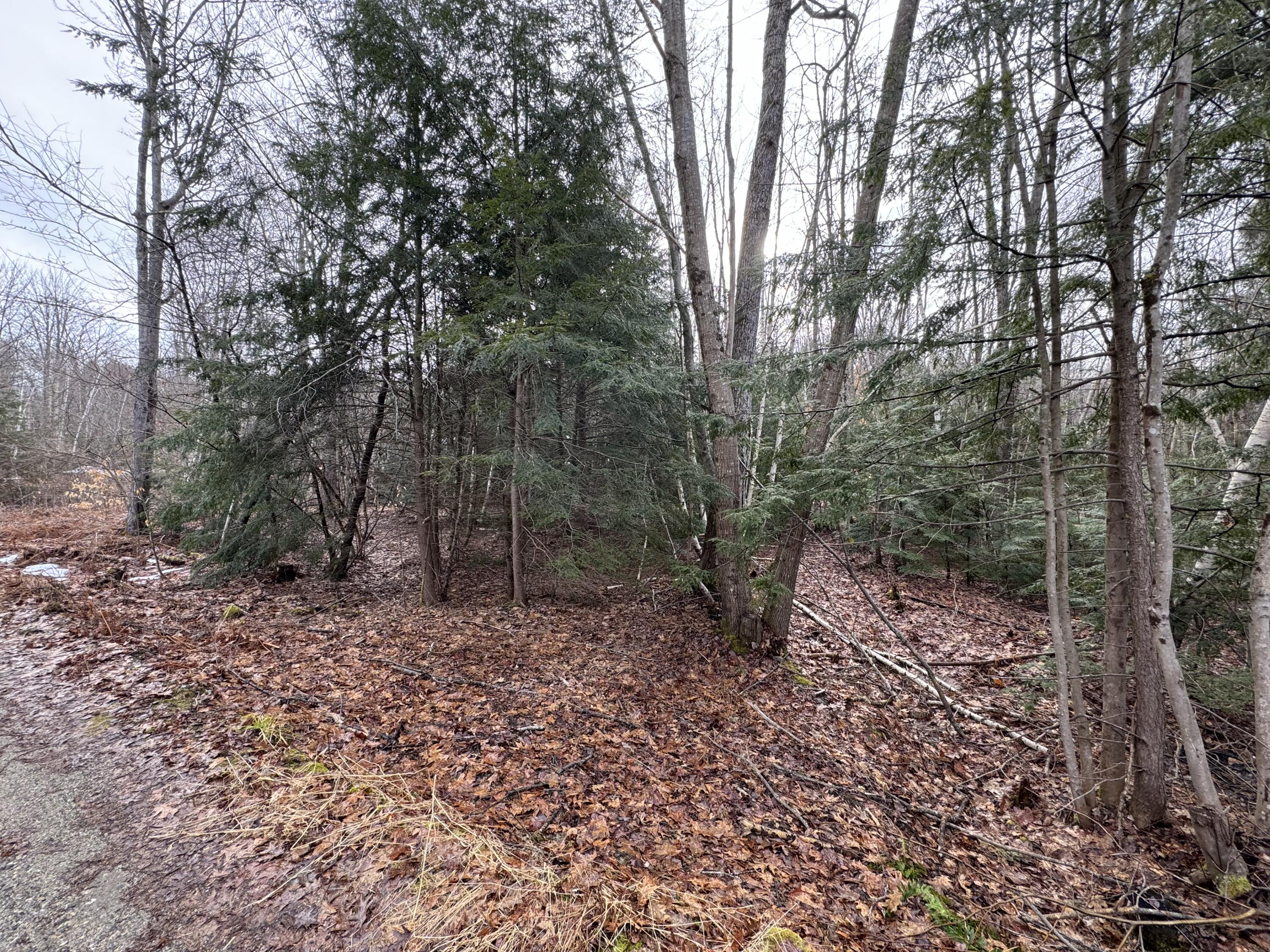 Lot 21 Johnson Road Greene, ME 04236 - Photo 4 of 18 IMG_4084