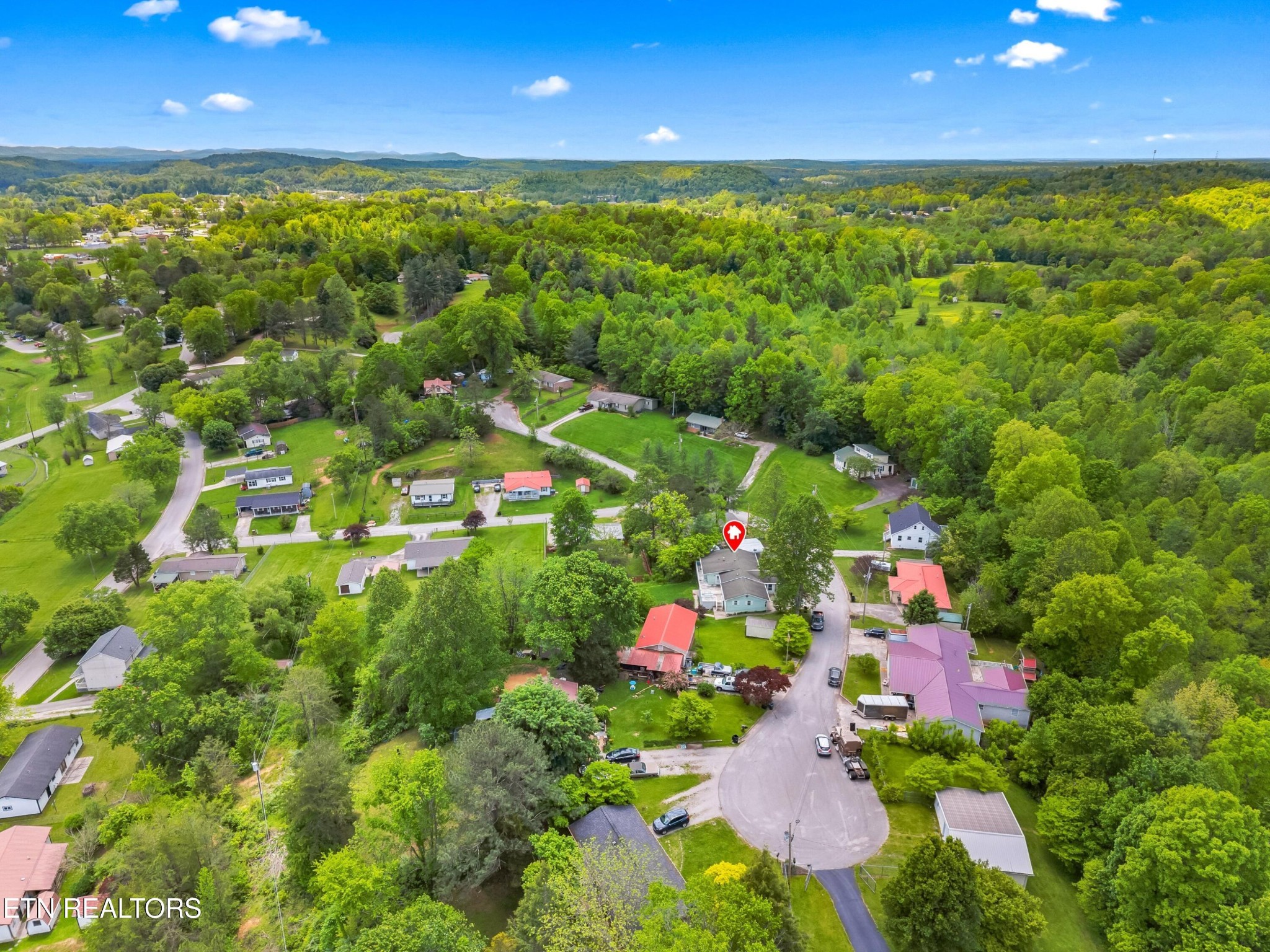 630 South Proctor Boulevard Oneida, TN 37841 - Photo 32 of 32 a view of a yard with plants and large trees