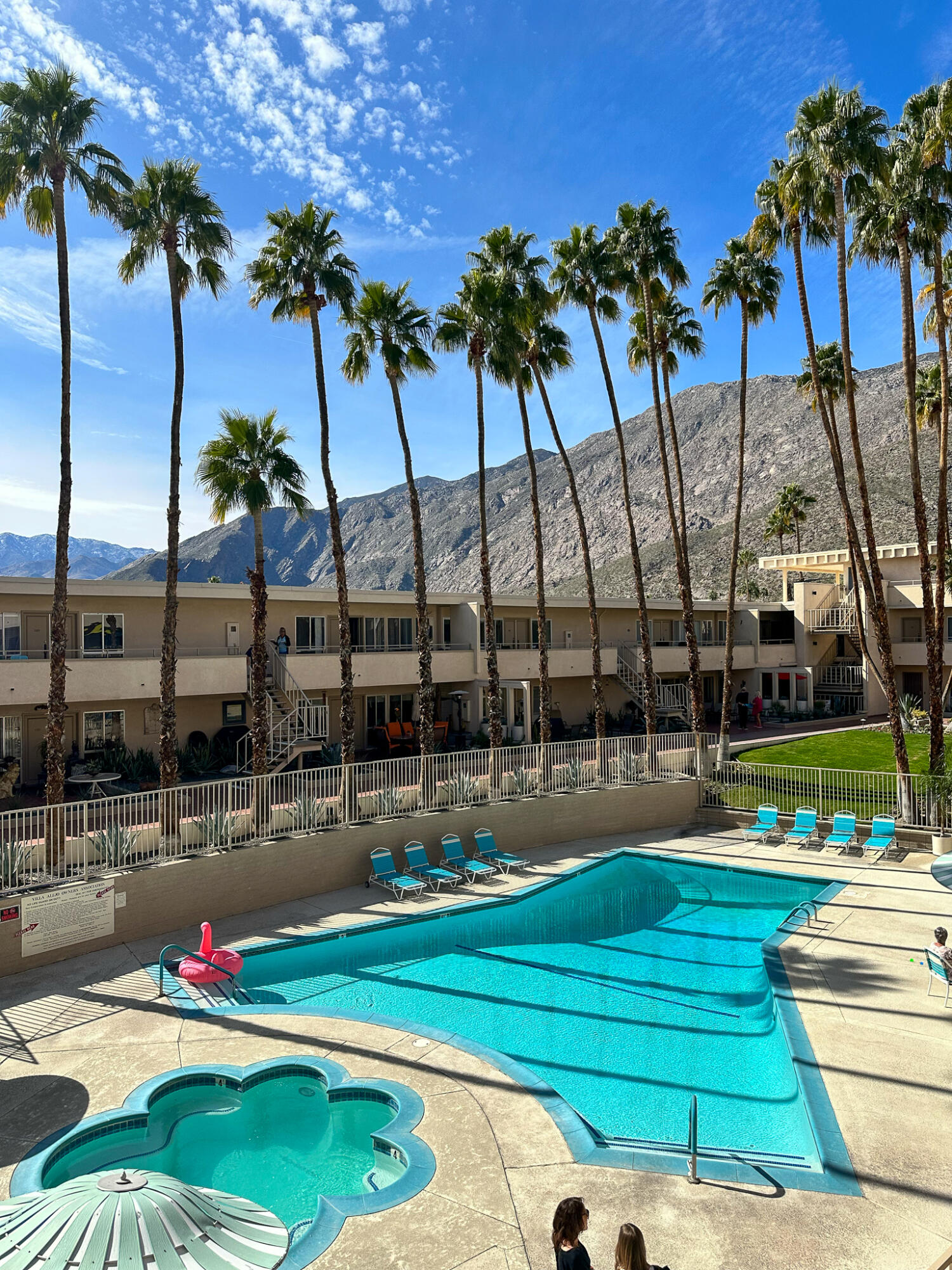 277 East Alejo Road, Unit 113 Palm Springs, CA 92262 - Photo 20 of 27 a view of a swimming pool with a lawn chairs and palm tree