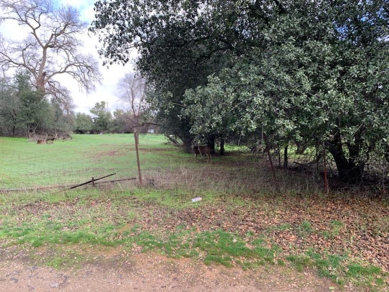 Lot A Walnut Street Red Bluff, CA 96080 - Photo 6 of 19