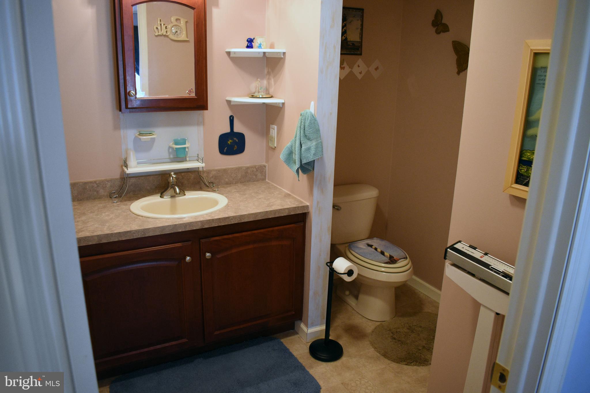 49 Cinnamon Drive Conowingo, MD 21918 - Photo 13 of 21 Master Bathroom
