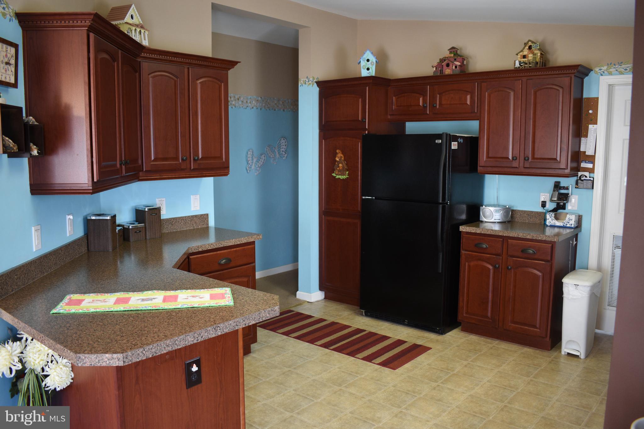 49 Cinnamon Drive Conowingo, MD 21918 - Photo 9 of 21 Kitchen with Cherry Cabinets