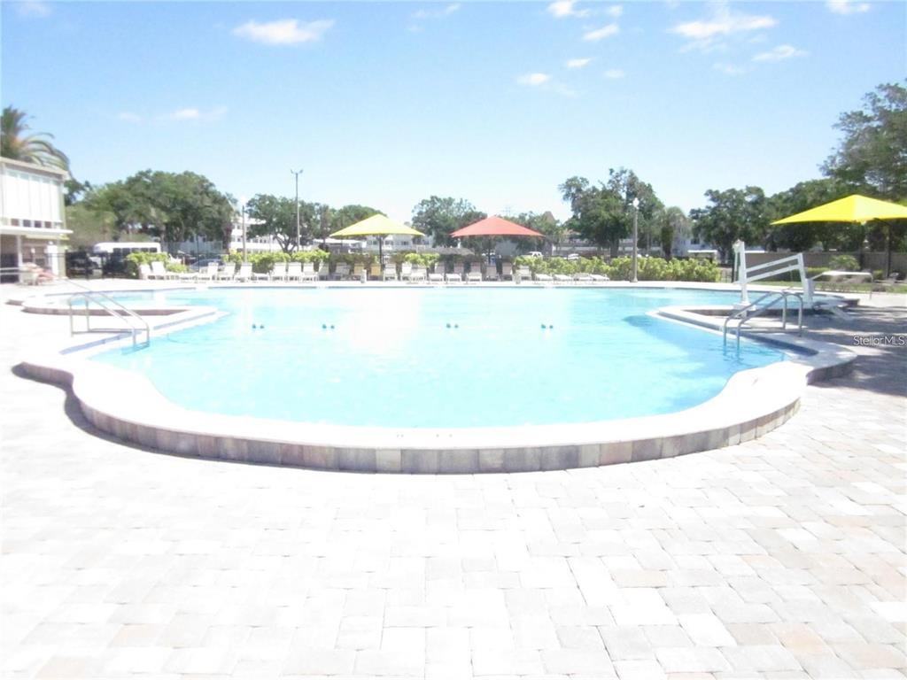 2427 Rhodesian Drive, Unit 11 Clearwater, FL 33763 - Photo 25 of 44