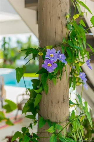 $9,750 | 3564 Southeast Old St Lucie Boulevard, Stuart, FL 34996