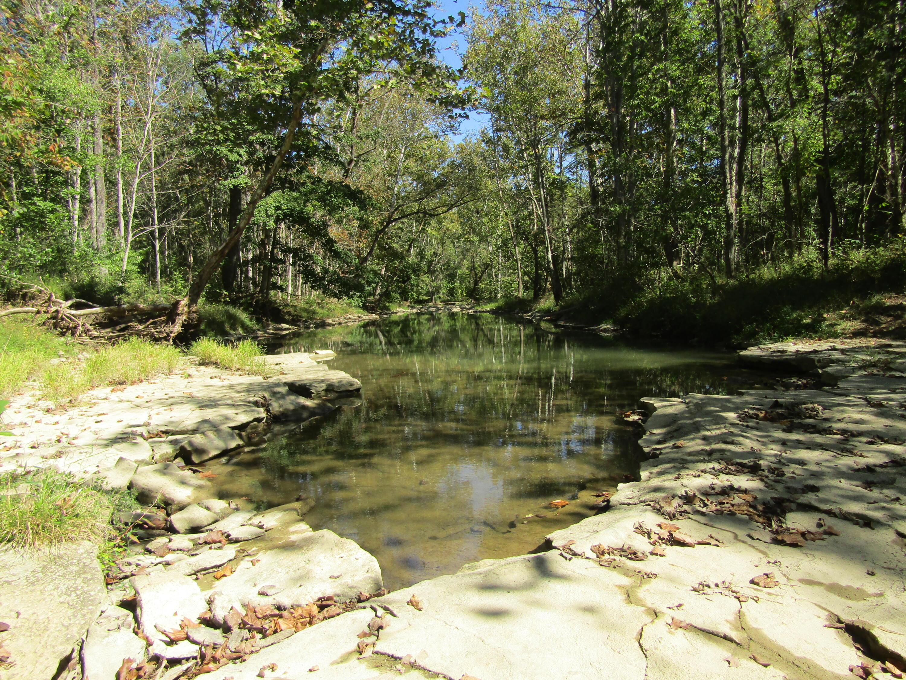 925 Lockmier Road Augusta, KY 41002 - Photo 49 of 52 swimming hole
