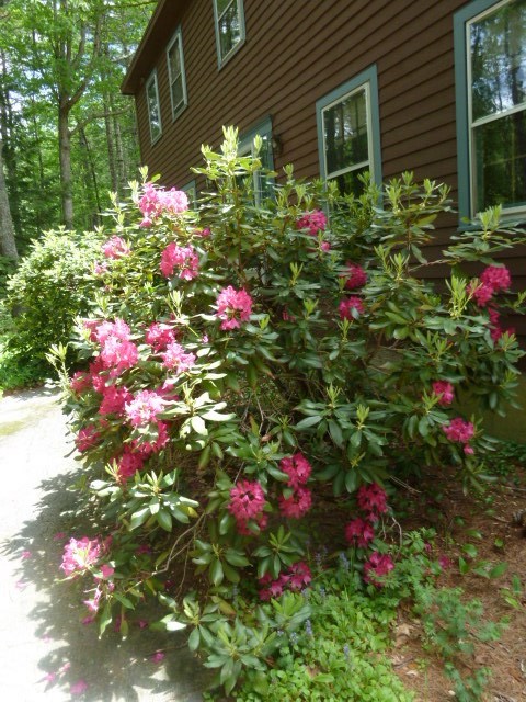 5 Cricket Corner Road Amherst, NH 03031 - Photo 2 of 22
