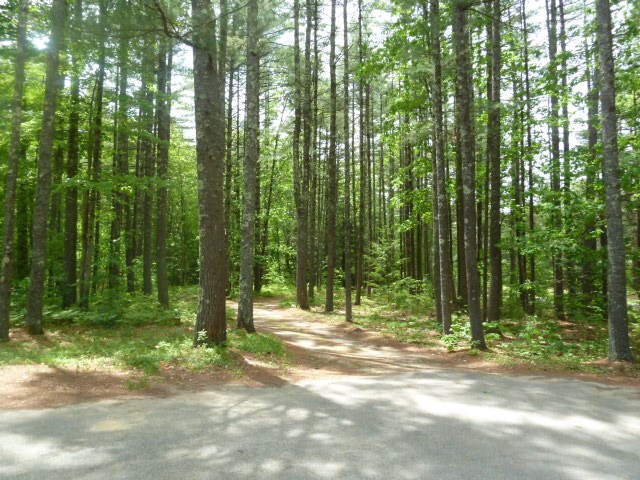 5 Cricket Corner Road Amherst, NH 03031 - Photo 21 of 22
