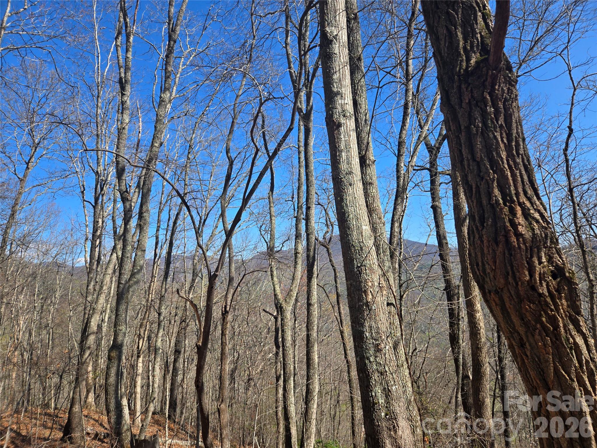 0 Brasstown Road Cullowhee, NC 28723 - Photo 22 of 37 Gallery Image 22