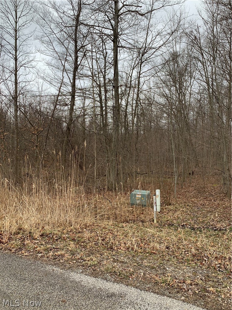 Barnstable Road Middlefield, OH 44062 - Photo 2 of 4