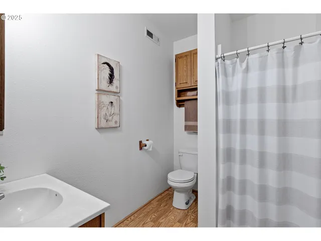a bathroom with a sink a toilet and shower curtain