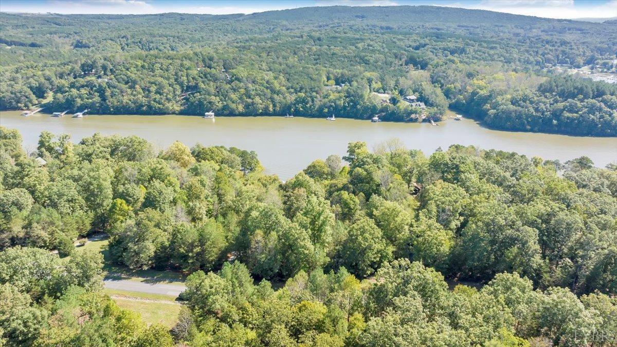 81 Runaway Bay Road Lynch Station, VA 24571 - Photo 12 of 17