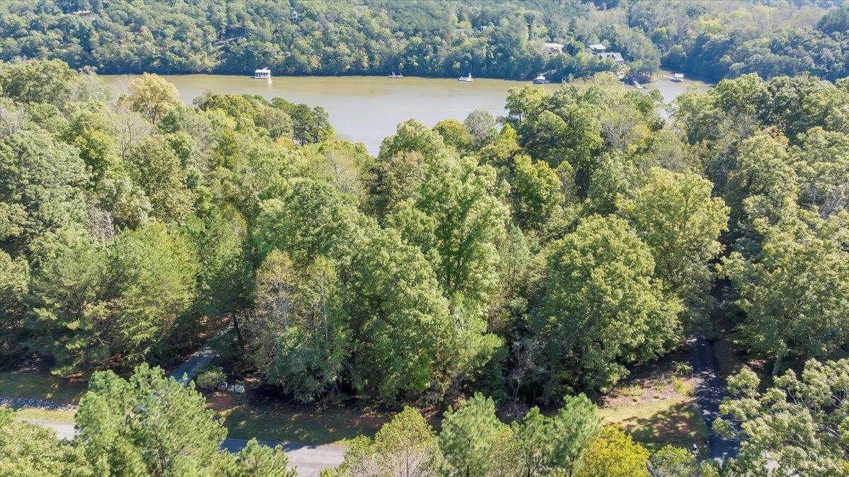 81 Runaway Bay Road Lynch Station, VA 24571 - Photo 13 of 17