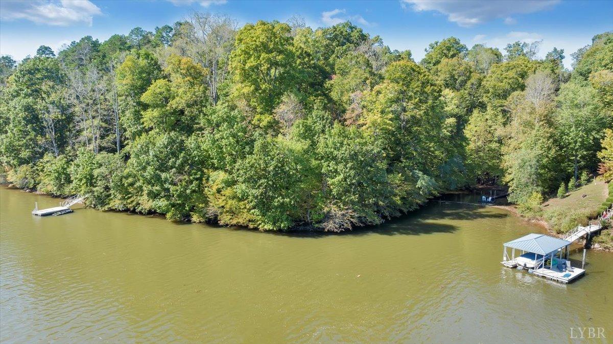 81 Runaway Bay Road Lynch Station, VA 24571 - Photo 3 of 17