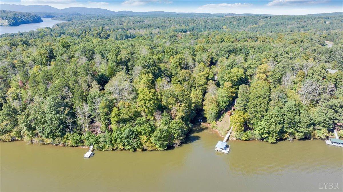 81 Runaway Bay Road Lynch Station, VA 24571 - Photo 5 of 17