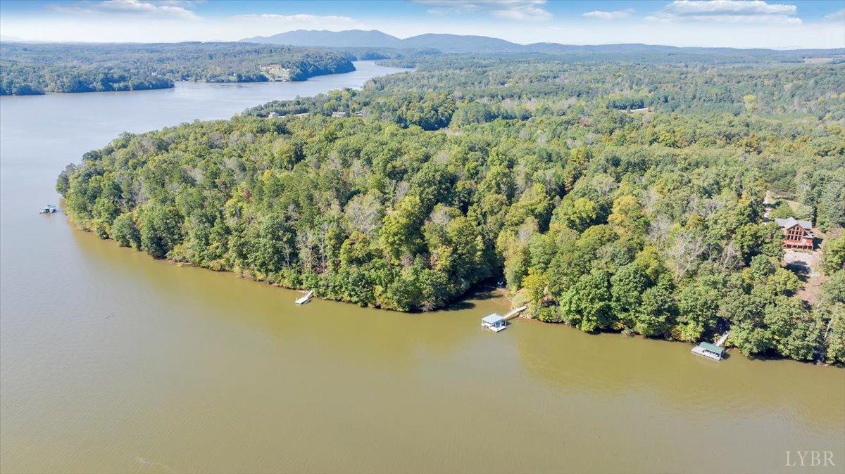 81 Runaway Bay Road Lynch Station, VA 24571 - Photo 6 of 17