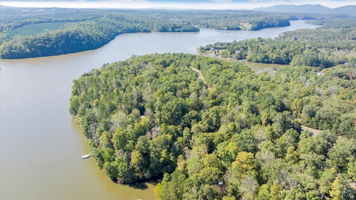 81 Runaway Bay Road Lynch Station, VA 24571 - Photo 7 of 17