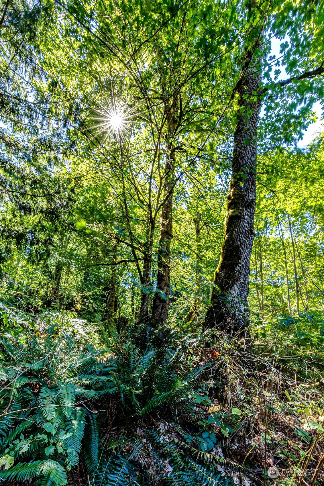 999 Fors Road Port Angeles, WA 98363 - Photo 11 of 30 Gallery Image 11