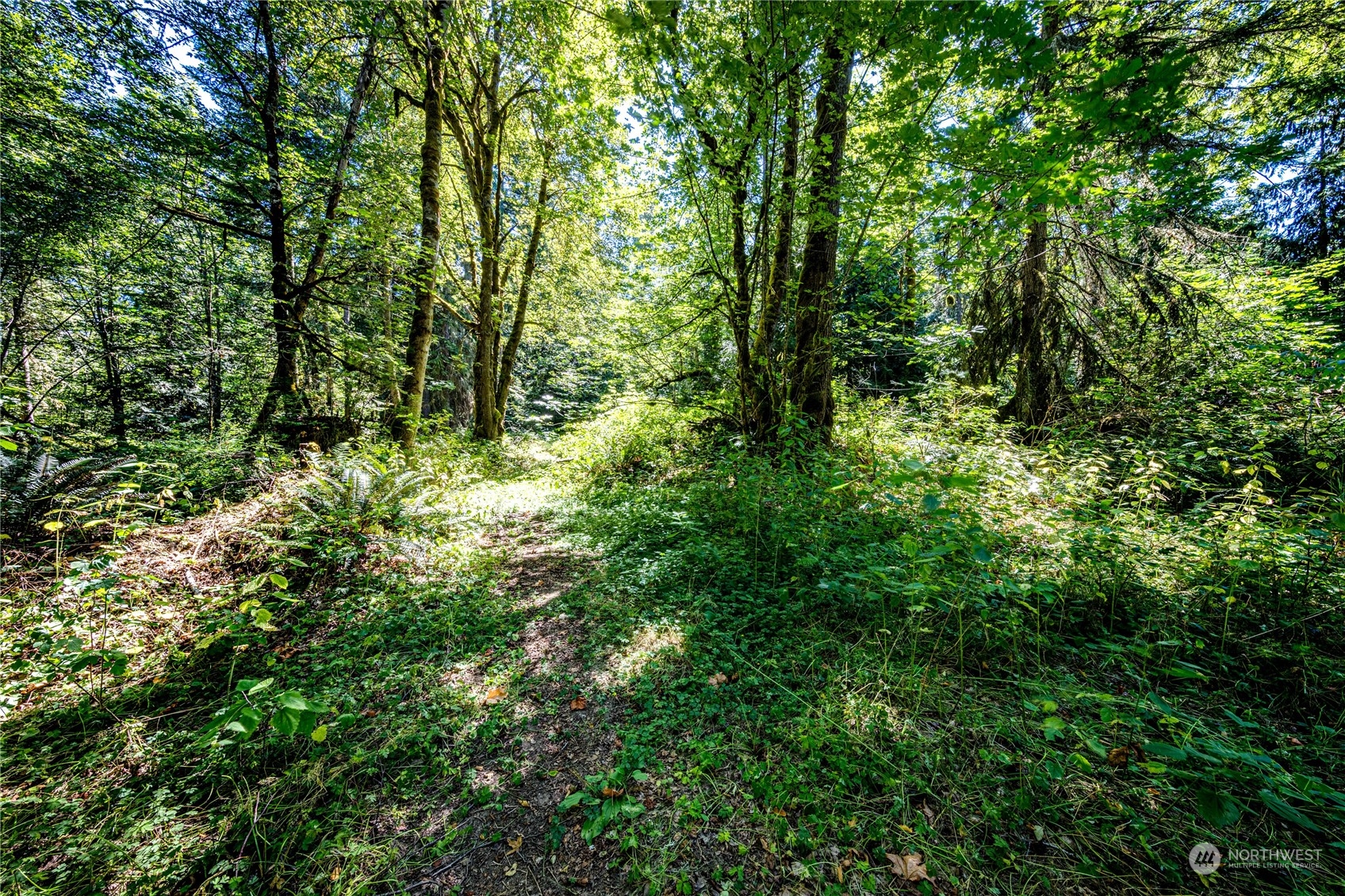 999 Fors Road Port Angeles, WA 98363 - Photo 15 of 30 Gallery Image 15