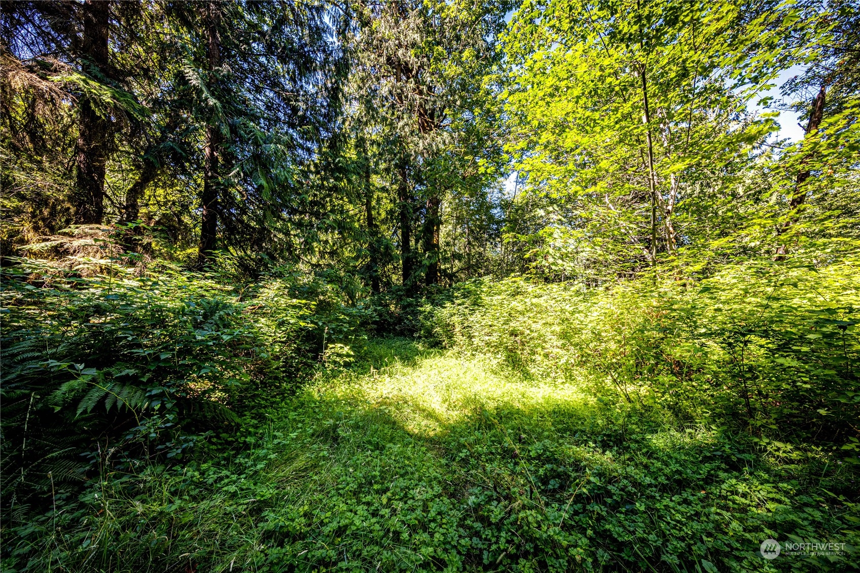 999 Fors Road Port Angeles, WA 98363 - Photo 16 of 30 Gallery Image 16