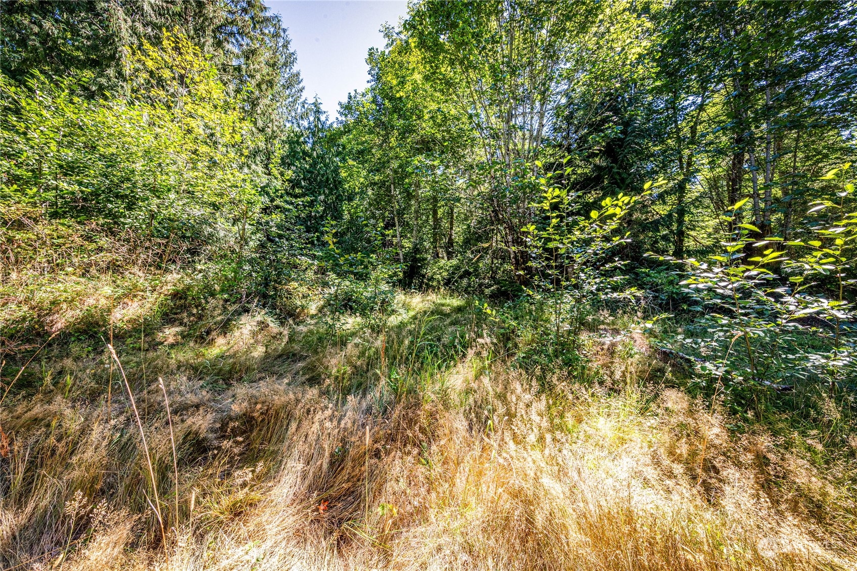 999 Fors Road Port Angeles, WA 98363 - Photo 17 of 30 Gallery Image 17