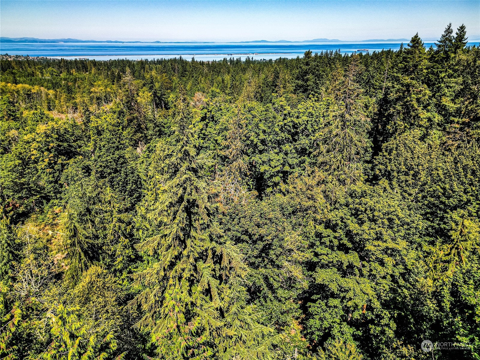 999 Fors Road Port Angeles, WA 98363 - Photo 27 of 30 Gallery Image 27
