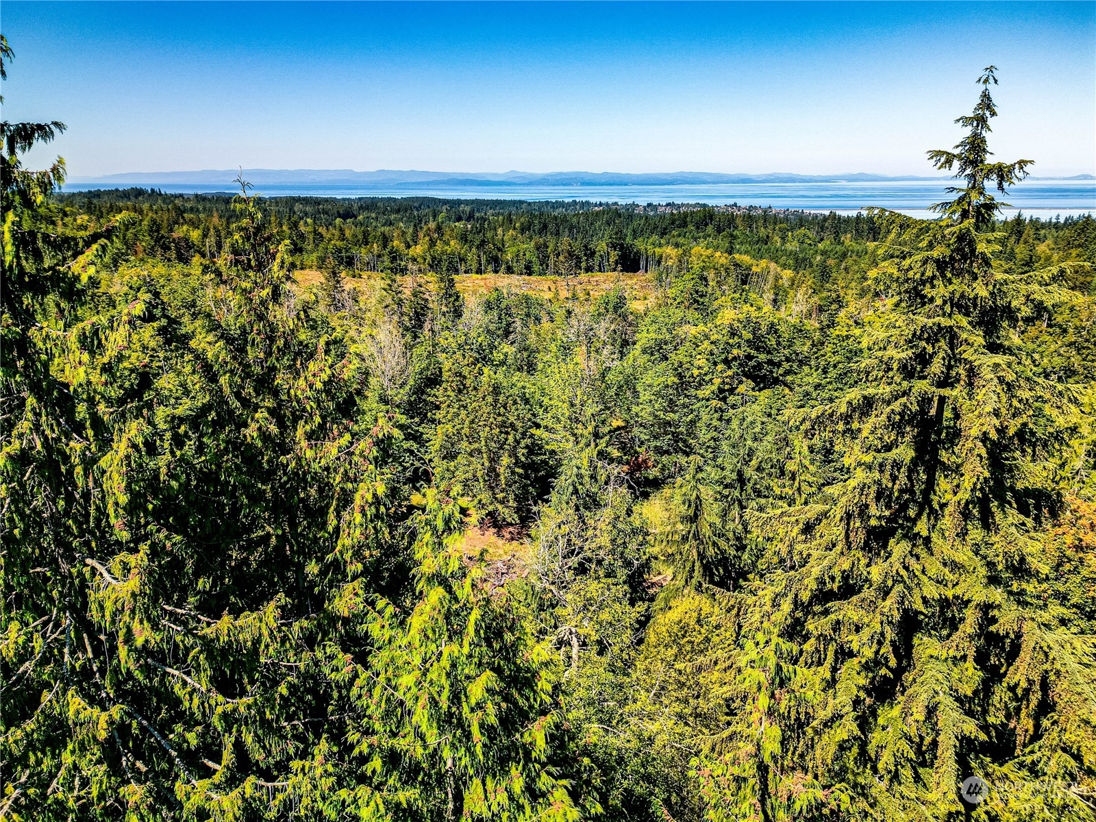 999 Fors Road Port Angeles, WA 98363 - Photo 28 of 30 Gallery Image 28