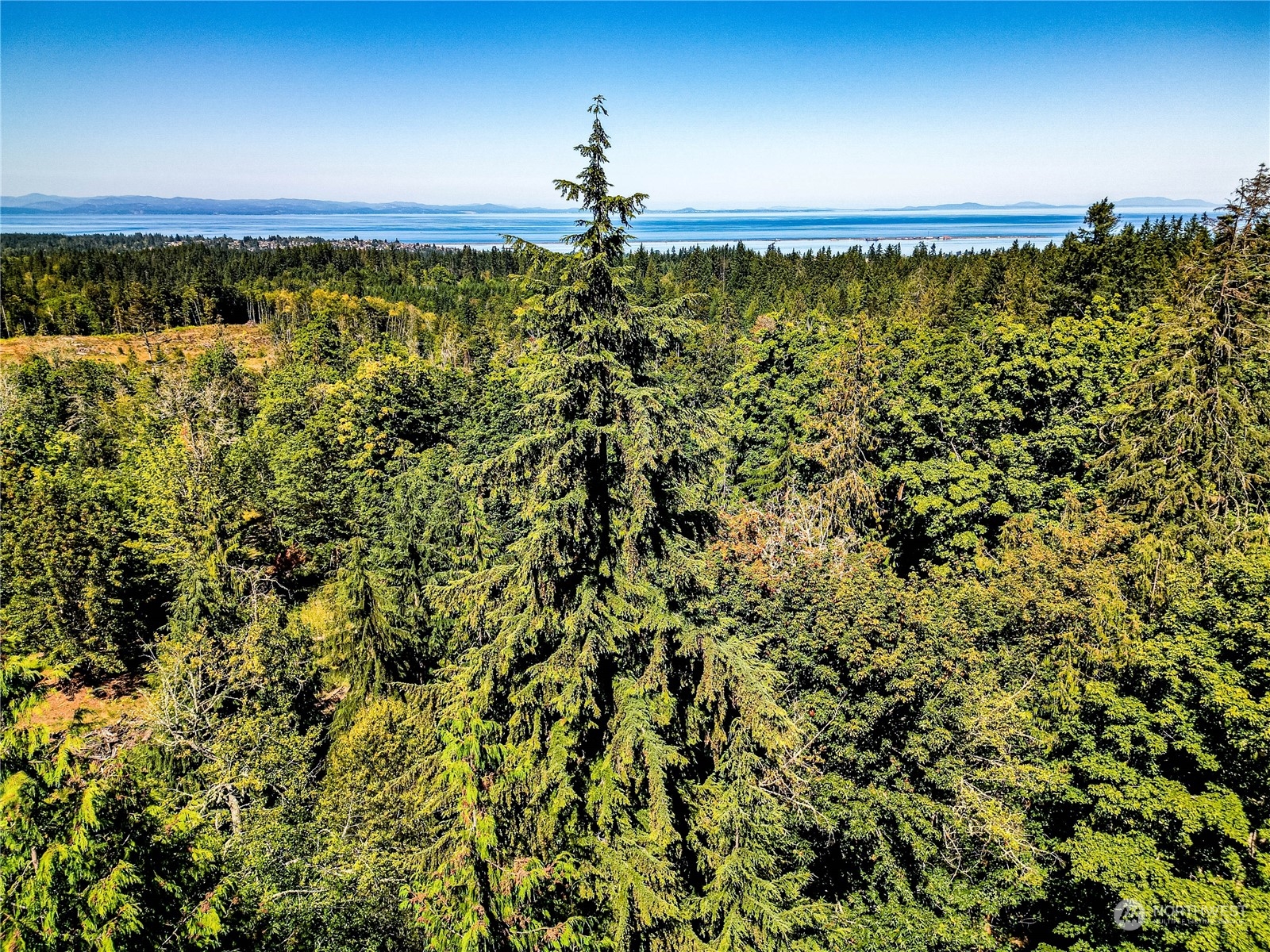 999 Fors Road Port Angeles, WA 98363 - Photo 29 of 30 Gallery Image 29