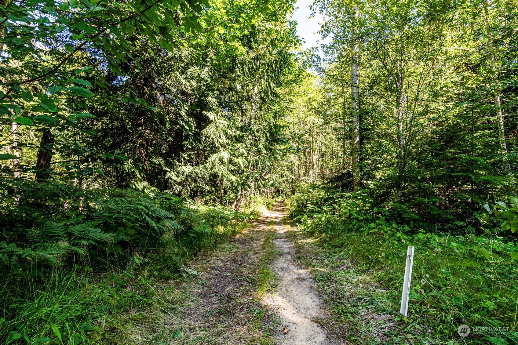 999 Fors Road Port Angeles, WA 98363 - Photo 4 of 30 Gallery Image 4