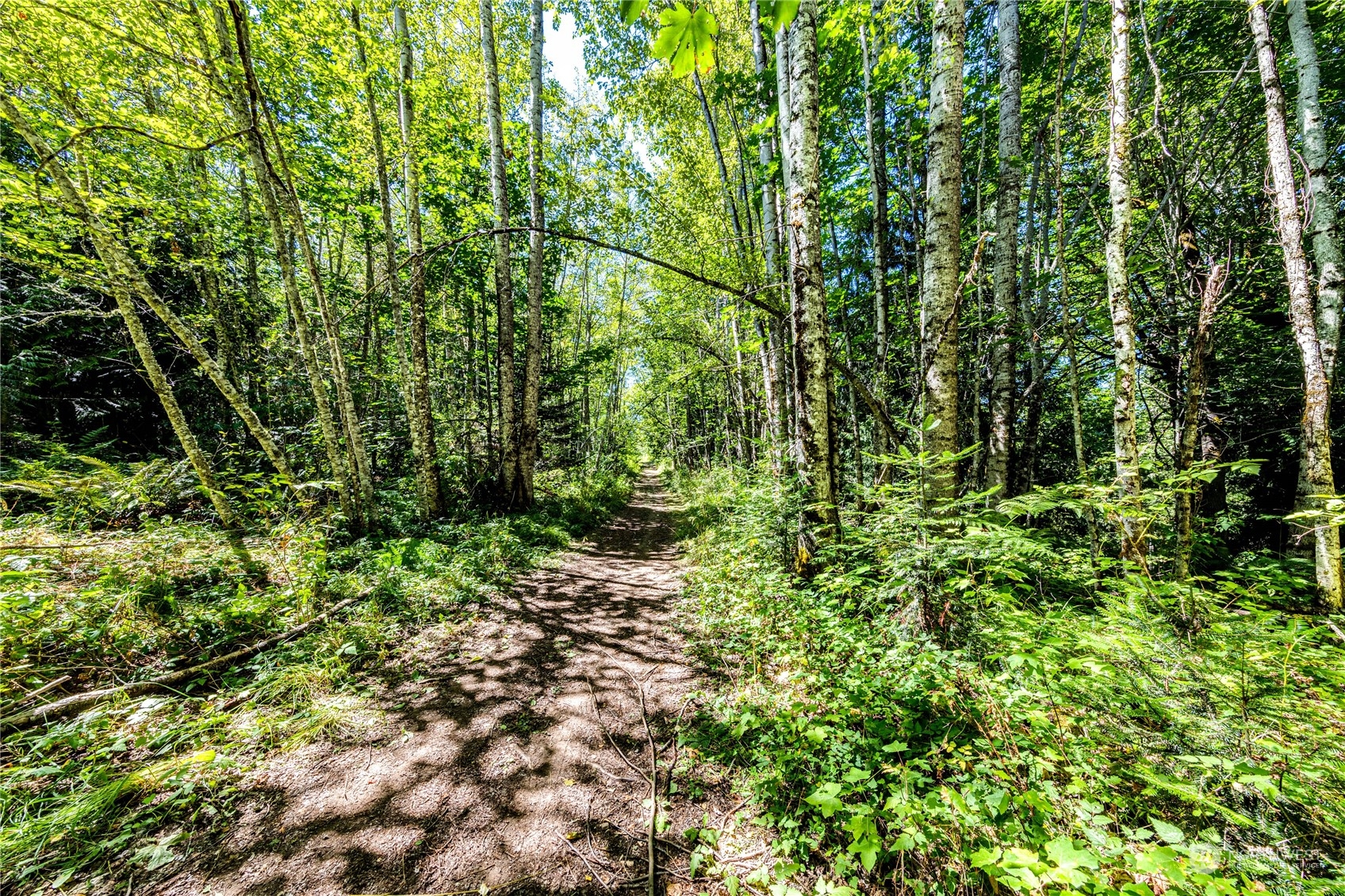 999 Fors Road Port Angeles, WA 98363 - Photo 5 of 30 Gallery Image 5