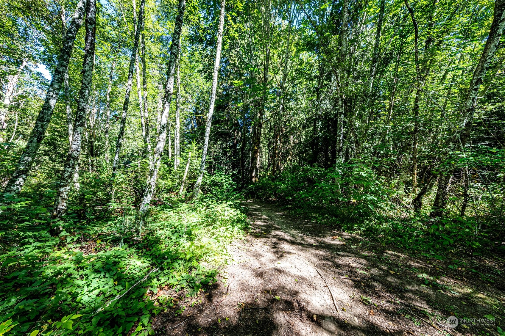 999 Fors Road Port Angeles, WA 98363 - Photo 7 of 30 Gallery Image 7