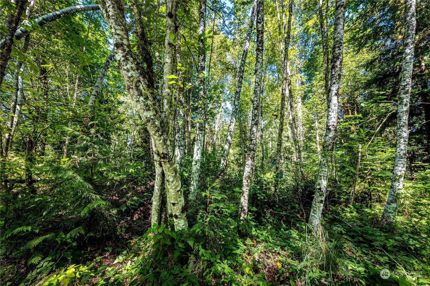 999 Fors Road Port Angeles, WA 98363 - Photo 8 of 30 Gallery Image 8