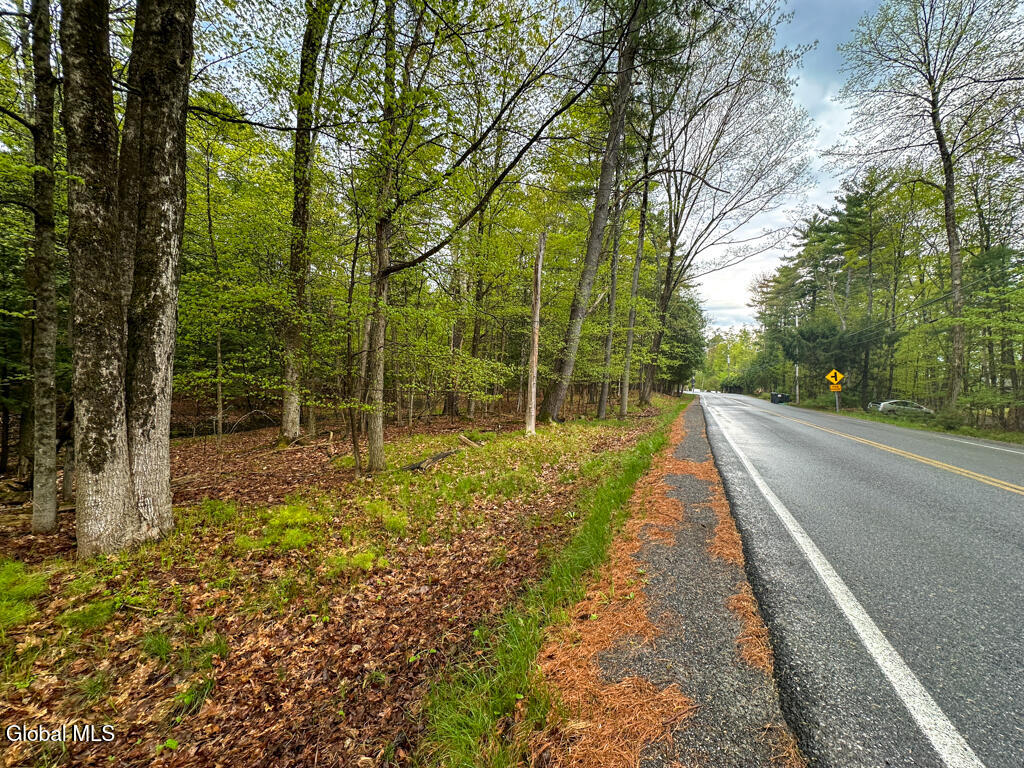 L59 Pilot Knob Road Kattskill Bay, NY 12844 - Photo 1 of 14 IMG_7279