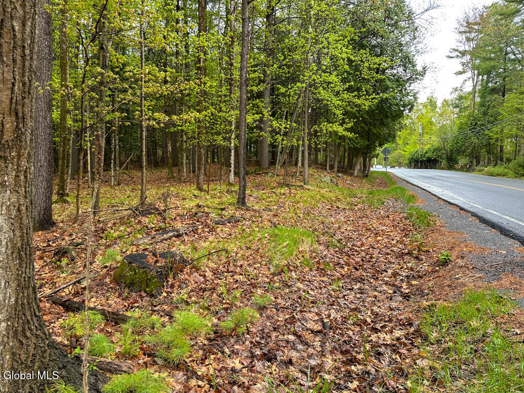 L59 Pilot Knob Road Kattskill Bay, NY 12844 - Photo 7 of 14 IMG_7273