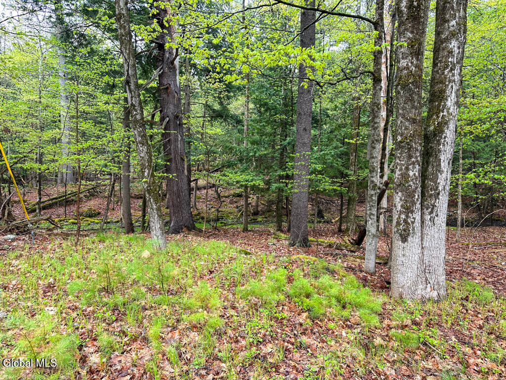L59 Pilot Knob Road Kattskill Bay, NY 12844 - Photo 10 of 14 IMG_7276