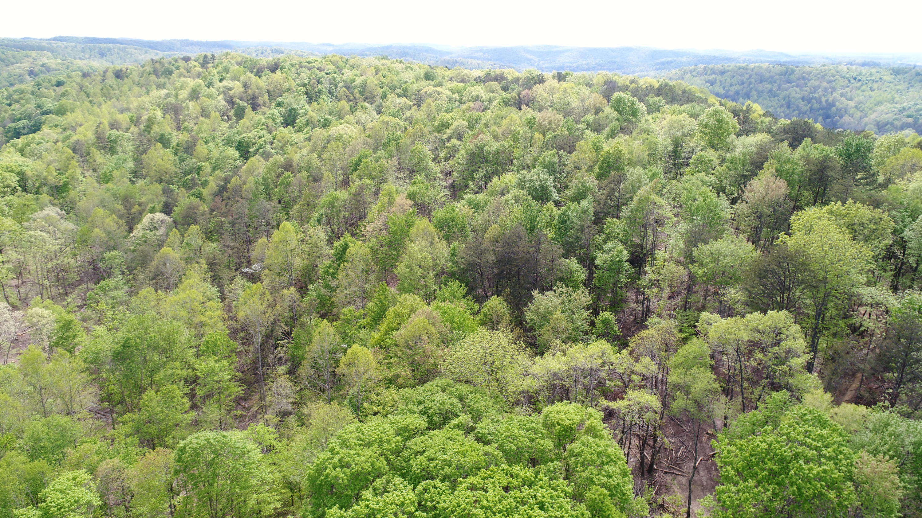 1234 Pine Ridge Road Somerset, KY 42501 - Photo 9 of 34 DJI_0317