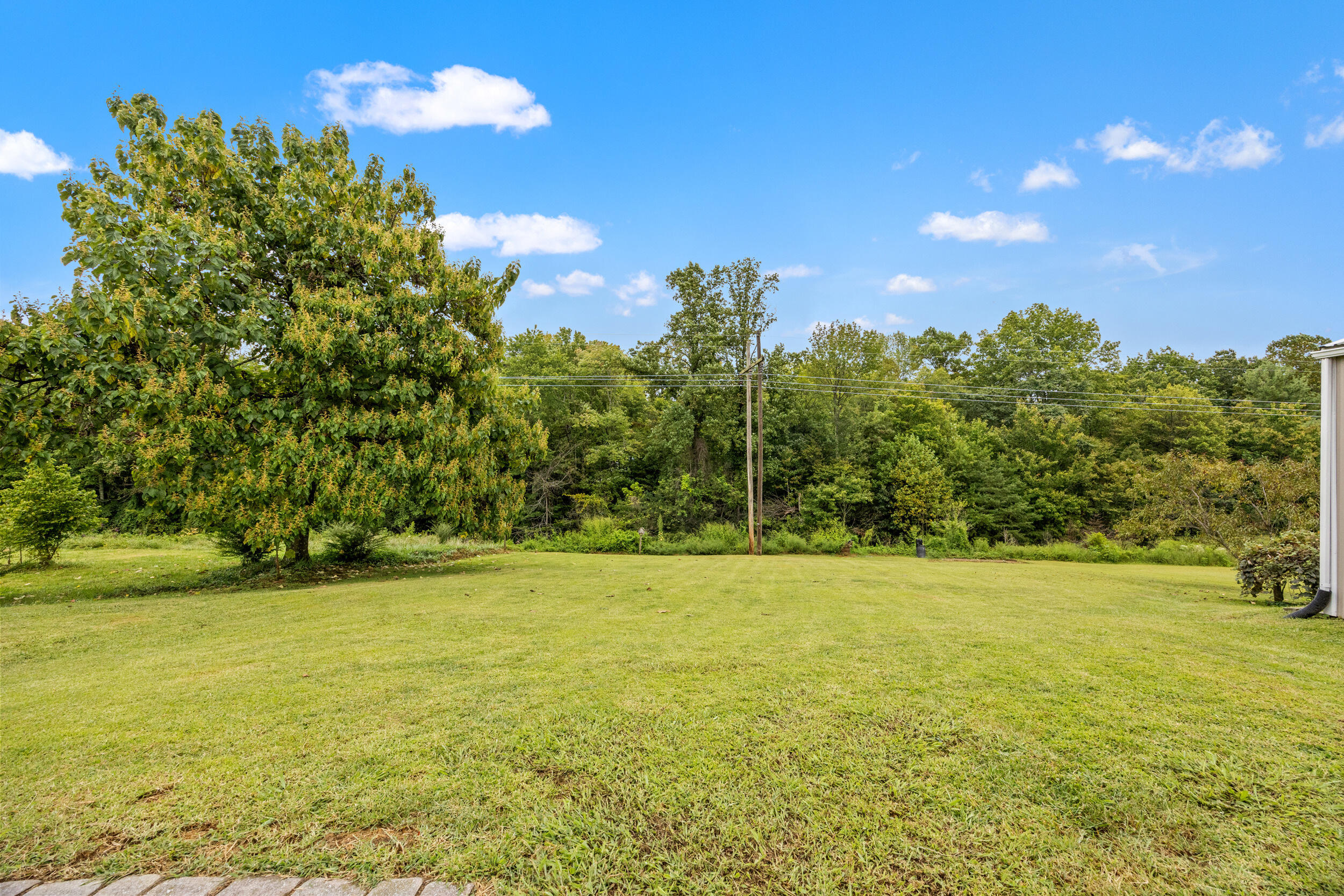 22 County Park Road Frenchburg, KY 40322 - Photo 27 of 40 img_4627