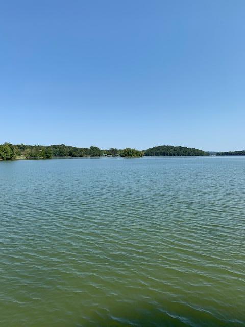 1316 Sable Road Spring City, TN 37381 - Photo 6 of 34 View from dock