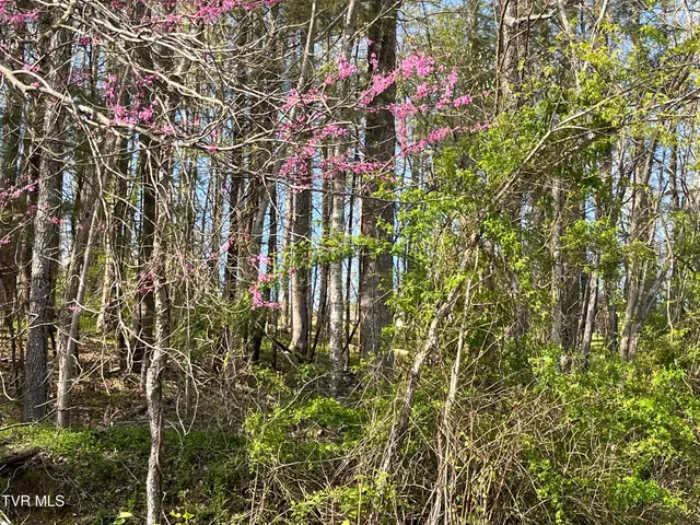 $42,000 | 2-lots Powell Valley Road, Unit A5 AND A6, Big Stone Gap, VA 24219