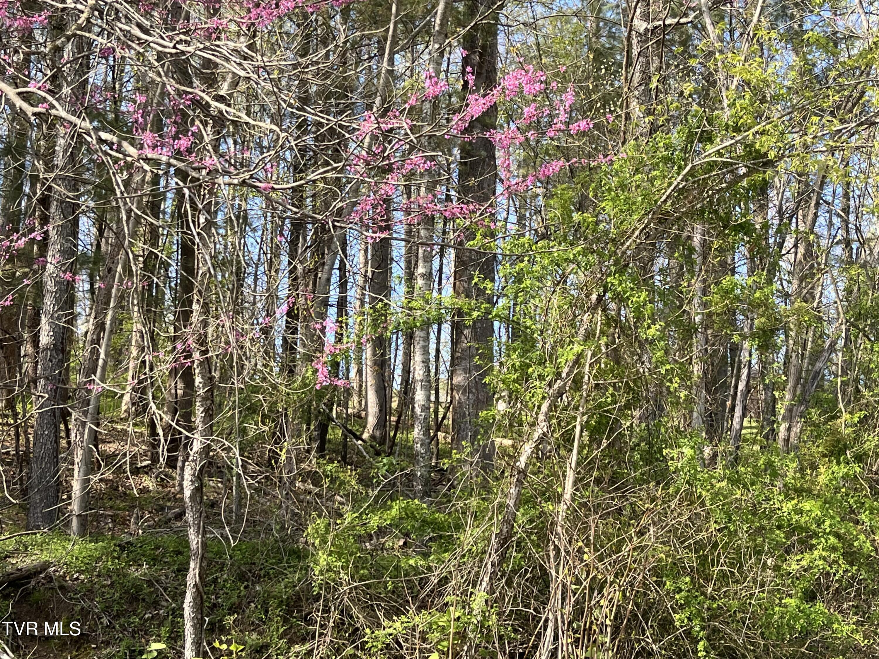 BUILD YOUR DREAM HOME