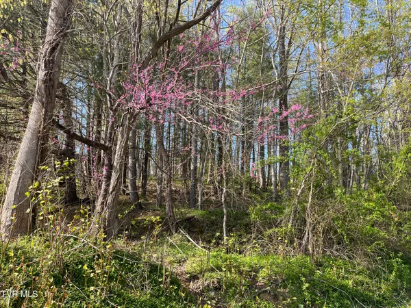 $42,000 | 2-lots Powell Valley Road, Unit A5 AND A6, Big Stone Gap, VA 24219