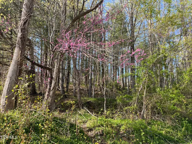 $42,000 | 2-lots Powell Valley Road, Unit A5 AND A6, Big Stone Gap, VA 24219