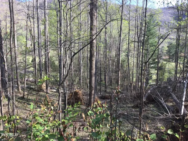 $42,000 | 2-lots Powell Valley Road, Unit A5 AND A6, Big Stone Gap, VA 24219