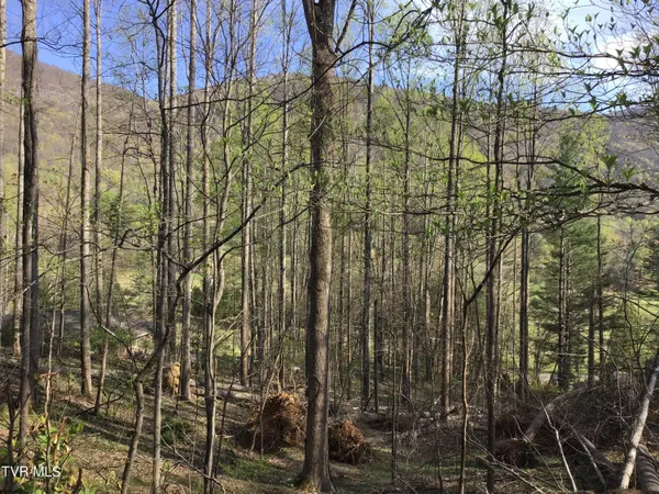 $42,000 | 2-lots Powell Valley Road, Unit A5 AND A6, Big Stone Gap, VA 24219
