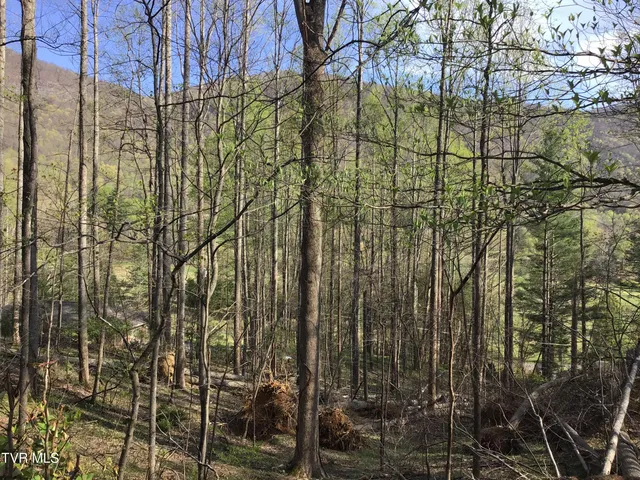 $42,000 | 2-lots Powell Valley Road, Unit A5 AND A6, Big Stone Gap, VA 24219